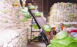 Việt Nam tham gia đấu thầu cung cấp gạo cho Philippines